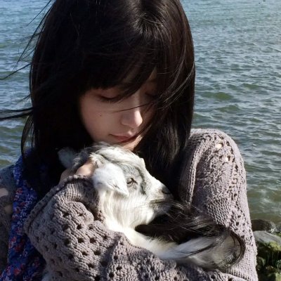 猪迪克之蓝海奇缘